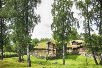 &quot;Žaliasis kursas&quot; Birutė Simanavičienė